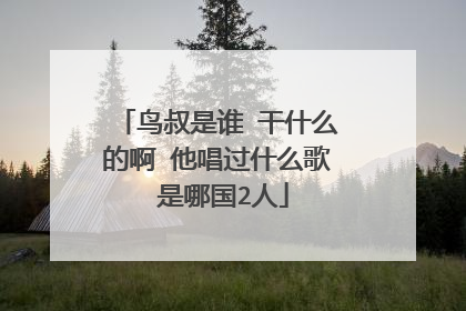 鸟叔是谁 干什么的啊 他唱过什么歌 是哪国2人