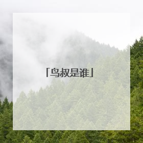 鸟叔是谁