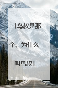 鸟叔是那个。为什么叫鸟叔