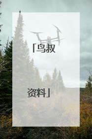 鸟叔资料