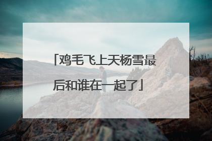 鸡毛飞上天杨雪最后和谁在一起了