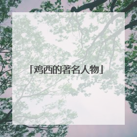 鸡西的著名人物