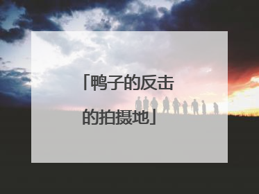 鸭子的反击的拍摄地