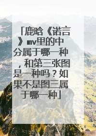 鹿晗《诺言》mv里的中分属于哪一种,和第三张图是一种吗?如果不是图三属于哪一种