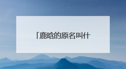 鹿晗的原名叫什么?据说叫刘壮实是真的么?