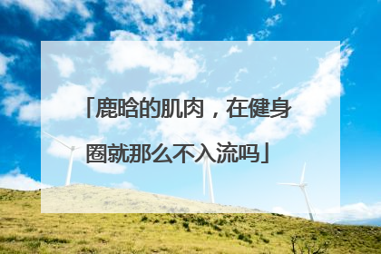 鹿晗的肌肉，在健身圈就那么不入流吗