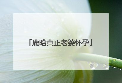 鹿晗真正老婆怀孕