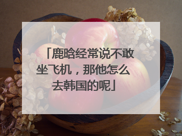 鹿晗经常说不敢坐飞机,那他怎么去韩国的呢