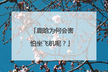 鹿晗为何会害怕坐飞机呢？