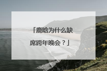 鹿晗为什么缺席跨年晚会？