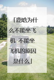 鹿晗为什么不能坐飞机 不能坐飞机的原因是什么