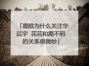 鹿晗为什么关注华晨宇 花花和鹿不羁的关系很微妙