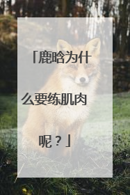 鹿晗为什么要练肌肉呢?