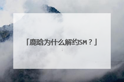 鹿晗为什么解约SM？