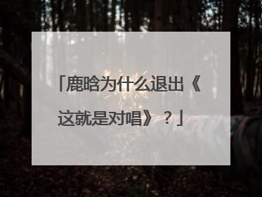 鹿晗为什么退出《这就是对唱》？