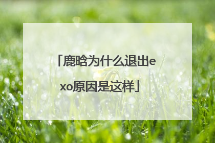 鹿晗为什么退出exo原因是这样