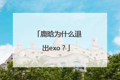 鹿晗为什么退出exo？