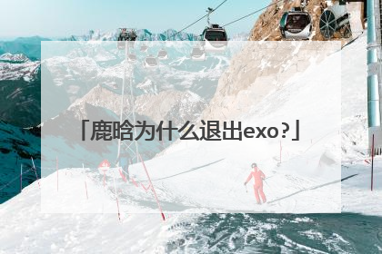 鹿晗为什么退出exo?