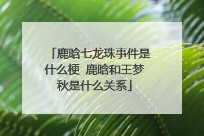 鹿晗七龙珠事件是什么梗 鹿晗和王梦秋是什么关系