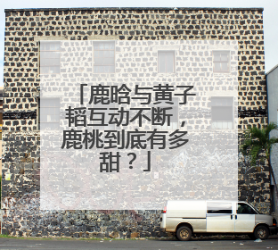 鹿晗与黄子韬互动不断，鹿桃到底有多甜？