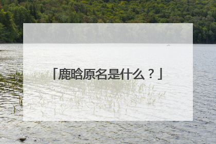 鹿晗原名是什么？