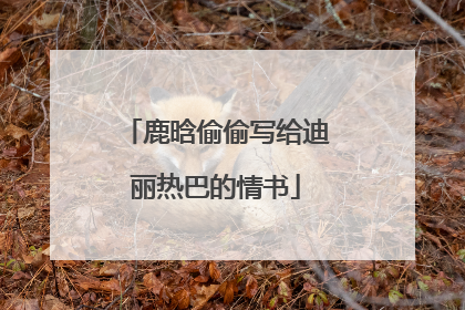 鹿晗偷偷写给迪丽热巴的情书