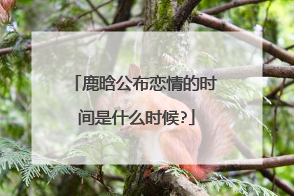 鹿晗公布恋情的时间是什么时候?