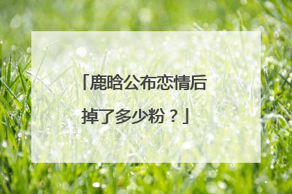 鹿晗公布恋情后掉了多少粉？