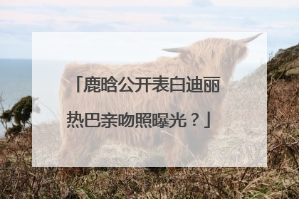 鹿晗公开表白迪丽热巴亲吻照曝光？