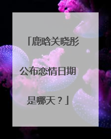 鹿晗关晓彤公布恋情日期是哪天？