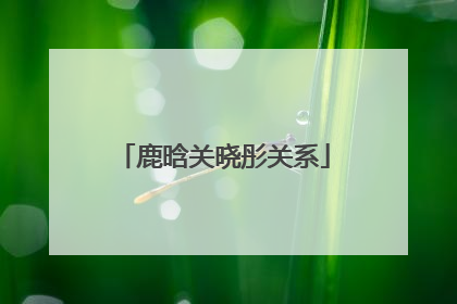 鹿晗关晓彤关系