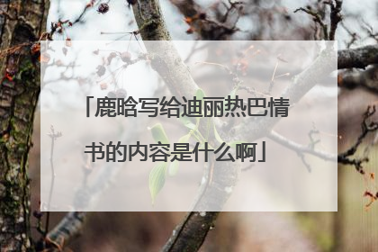 鹿晗写给迪丽热巴情书的内容是什么啊