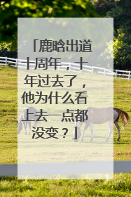 鹿晗出道十周年,十年过去了,他为什么看上去一点都没变?