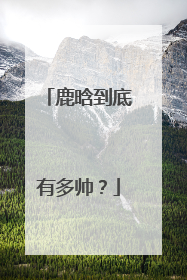 鹿晗到底有多帅？