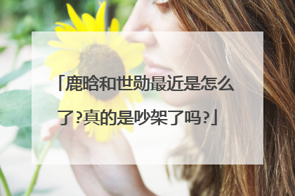 鹿晗和世勋最近是怎么了?真的是吵架了吗?