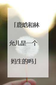 鹿晗和林允儿是一个妈生的吗