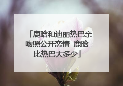 鹿晗和迪丽热巴亲吻照公开恋情 鹿晗比热巴大多少