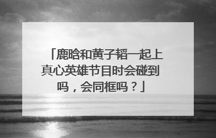 鹿晗和黄子韬一起上真心英雄节目时会碰到吗，会同框吗？