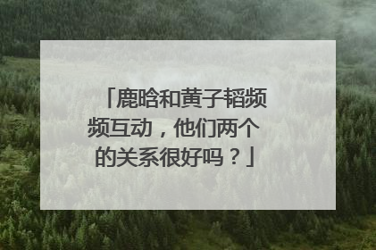 鹿晗和黄子韬频频互动，他们两个的关系很好吗？
