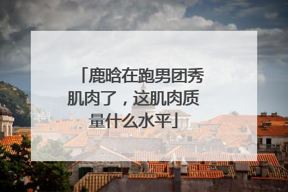 鹿晗在跑男团秀肌肉了，这肌肉质量什么水平