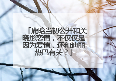 鹿晗当初公开和关晓彤恋情，不仅仅是因为爱情，还和迪丽热巴有关？