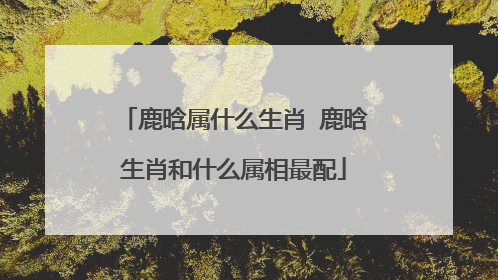 鹿晗属什么生肖 鹿晗生肖和什么属相最配