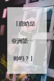 鹿晗是亚洲第一帅吗？