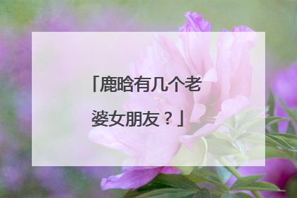 鹿晗有几个老婆女朋友？