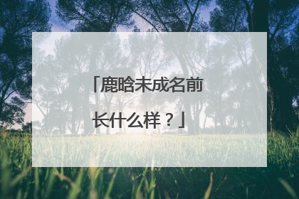 鹿晗未成名前长什么样?