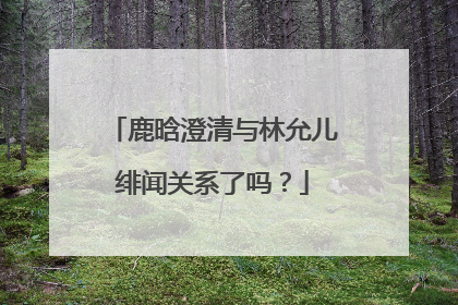 鹿晗澄清与林允儿绯闻关系了吗？