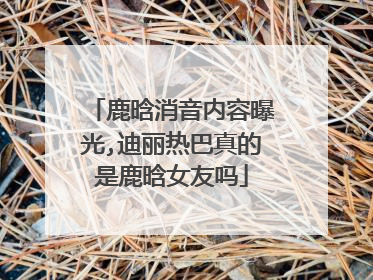 鹿晗消音内容曝光,迪丽热巴真的是鹿晗女友吗