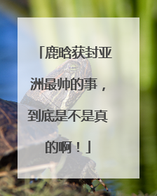 鹿晗获封亚洲最帅的事，到底是不是真的啊！