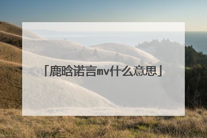 鹿晗诺言mv什么意思