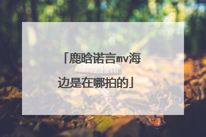 鹿晗诺言mv海边是在哪拍的